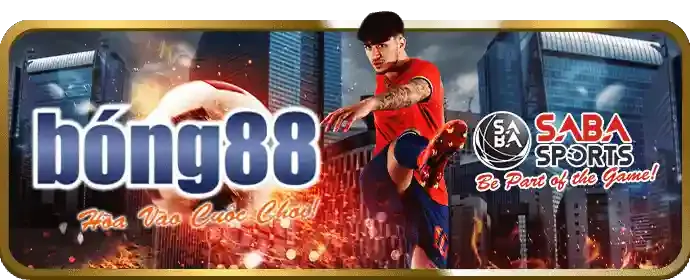 Cá cược thể thao qq88bet